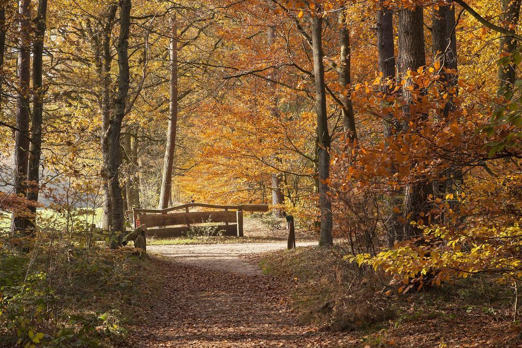 Hoeve Springendal Ootmarsum Exterior foto