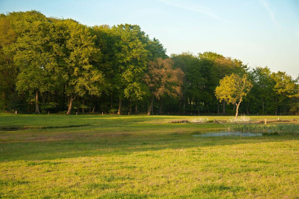 Hoeve Springendal Ootmarsum Exterior foto