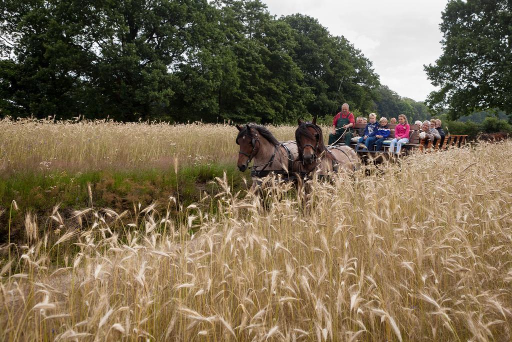 Hoeve Springendal Ootmarsum Exterior foto
