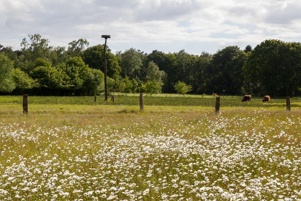 Hoeve Springendal Ootmarsum Exterior foto