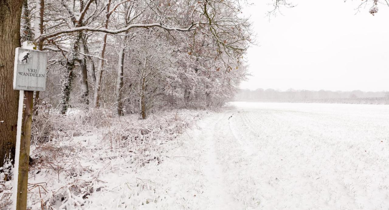 Hoeve Springendal Ootmarsum Exterior foto